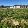 Magnífica Finca segregada en la zona de El Marquesado, Chiclana